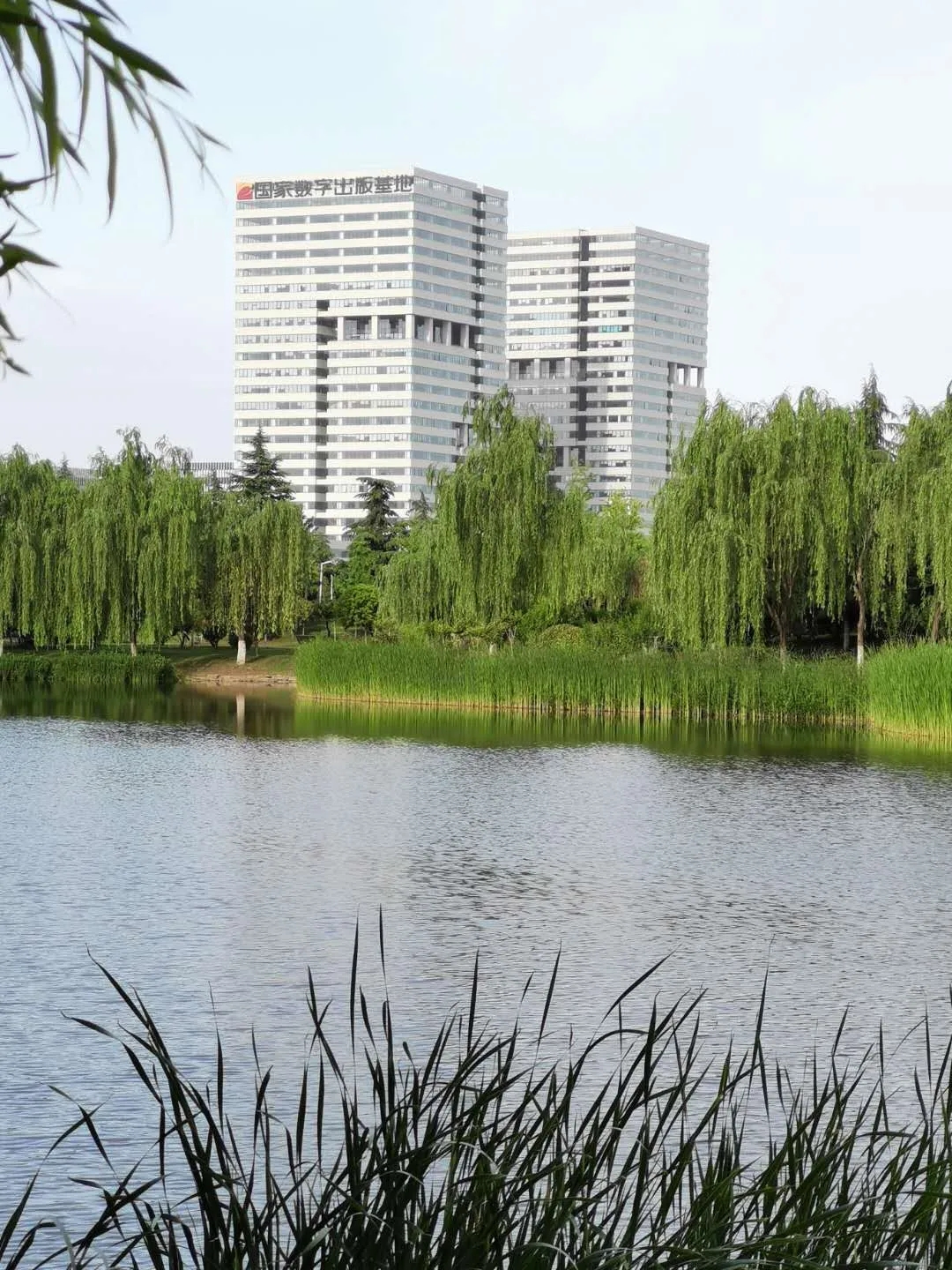 红五月,西驰电气逆流而上,逆势上扬(图2)